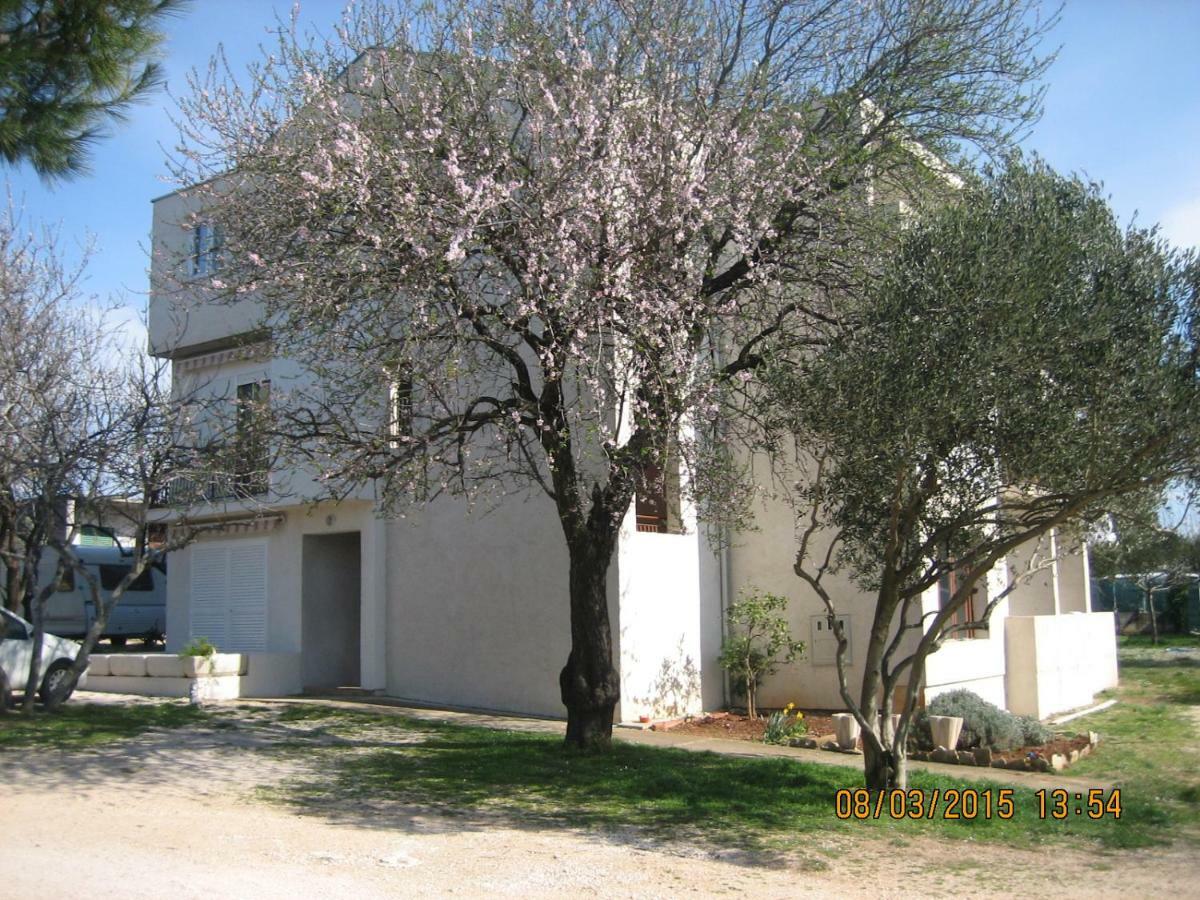 Ferienwohnung Crancina Sveti Filip i Jakov Exterior foto